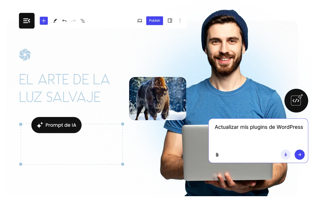Panou WordPress cu metrici de performanță optimizate